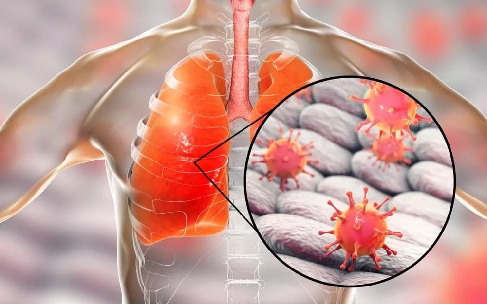 欧超杯赛程吃紧，上海久事清晨战术微调，目标明确，医务组通报恢复的简单介绍AYX游戏入口